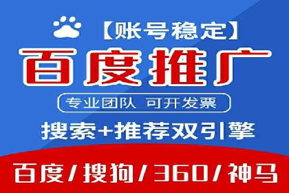 Sem优化公司案例：精准广告投放策略解析